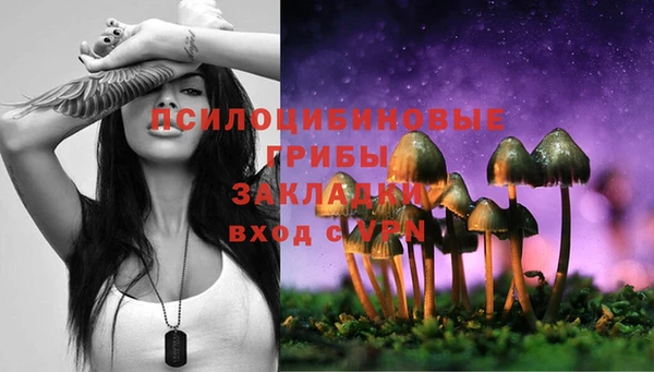 СК Кадников