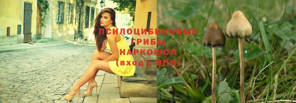 дмт Абинск