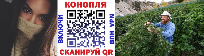 дарк нет состав  Каменка  МАРИХУАНА планчик 